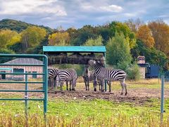 -哈尔滨北方森林动物园