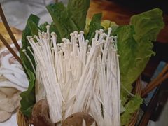 -同仁四季椰子鸡(海岸城天利店)