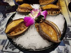 六头鲍鱼-捞围鲜·港式打边炉(海阳路店)