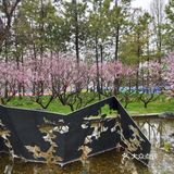 终于可以不用云赏花，到公园走走逛逛啦