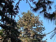 -敬亭山风景名胜区