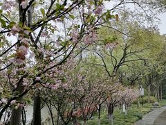 -黄兴公园