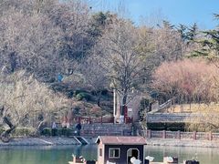-北岭山森林公园