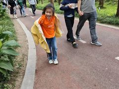 -黄海国家森林公园