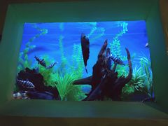 -乌鲁木齐海洋馆