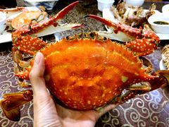 -北塘海鲜·天津菜(大光明桥旗舰店)
