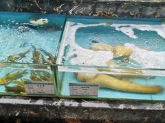 -顺风山庄(水濂山店)