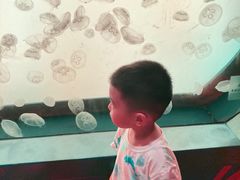 -沈阳海洋探索中心