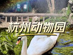 -杭州动物园