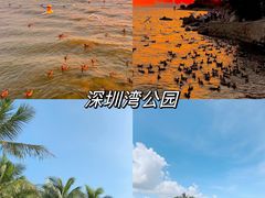 -深圳湾公园(南山区)