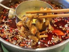 -蛙两只美蛙鱼头火锅(恒茂店)