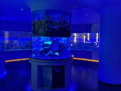 -上和臻品中国菜(花园街店)