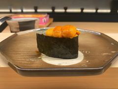 -焘