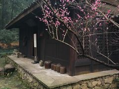 -黄公望隐居地