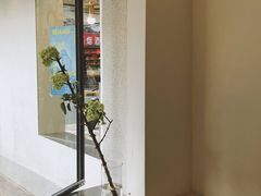 -村口大树(长乐路店)