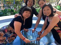 -水晶之星洗浴温泉汗蒸