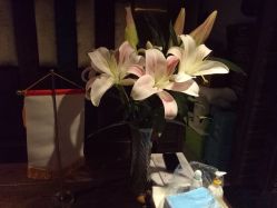 -琦品高端美容SPA私佳美场