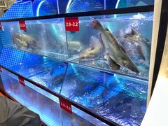 水产区-鱼酷活鱼烤鱼(恒隆广场店)