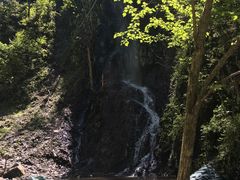 -凤凰山国家森林公园