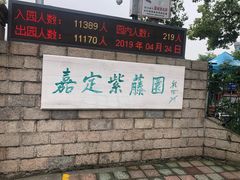 -嘉定紫藤园