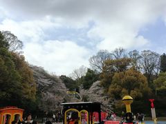 -杭州少年儿童公园