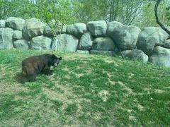 -北京野生动物园