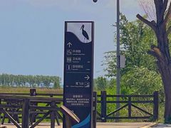 -野鸭湖国家湿地公园