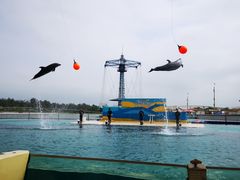 -秦皇岛乐岛海洋王国