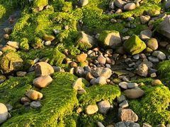 -银沙滩浴场