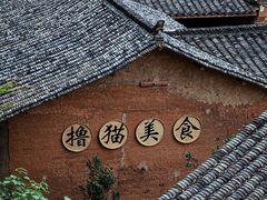 -杨家堂村