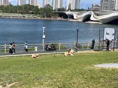 -西海子公园