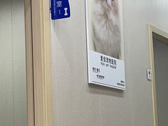 -爱佳宠物中心医院·骨外科·猫专科·急重症(瑶海万达店)