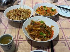 鸭掌筋-壹盏灯(惠农店)