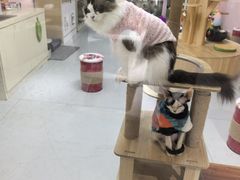 -上海大自然野生昆虫馆(东方明珠·爬宠昆虫探索中心)