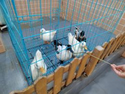 -Moni星球萌宠·小马宝莉·灵蛇·高端高阶全萌宠互动体验俱乐部(红豆国际广场店)