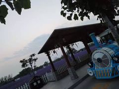 -渔岛海洋度假区