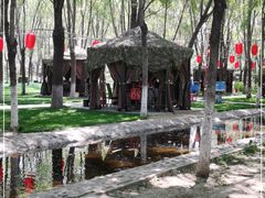 -草根堂农场