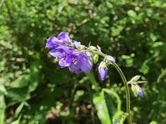 -白草畔自然风景区