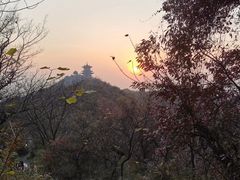 -杭州半山国家森林公园