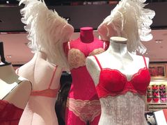 -Victoria's Secret(苏州中心全品类店)
