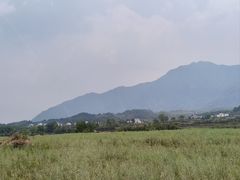 -黄牛肉馆·皖南土菜