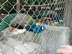 -南京金牛湖风景区