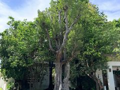 -Chom Cafe and Restaurant