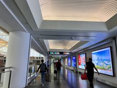 -厦门高崎国际机场-T3航站楼