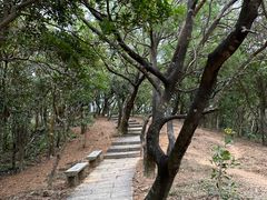 -梧桐山风景名胜区