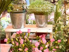 -二酉书店TOYOU BOOKS