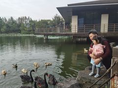 -上海怡沁园度假酒店
