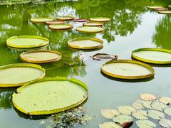 -国家植物园