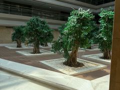 -南京禄口机场雅高铂尔曼大酒店