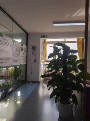 -清清博视儿童眼视光中心(角门西店)